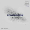 Various Artists - Introspection