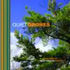 Various Artists - Quiet Drones