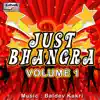 Various Artists - Just Bhangra, Vol. 1
