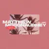 Todd Carey, Shwayze & La Felix - Matthew Mcconaughey (La Felix Remix) - Single
