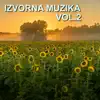 Various Artists - Izvorna Muzika 2