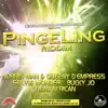 Various Artists - Pinge Ling Riddim (Presented by Musical Ambassador & Buzwakk Records) - EP